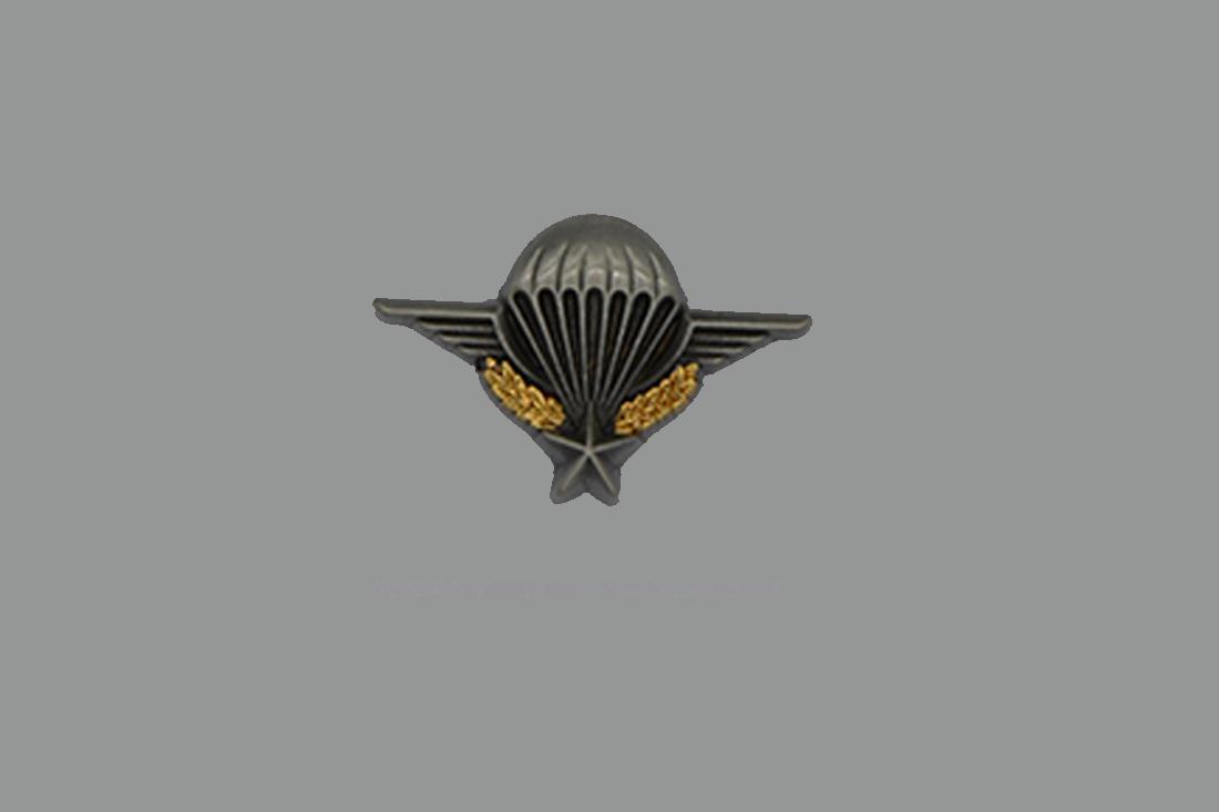 Pin's Brevet para